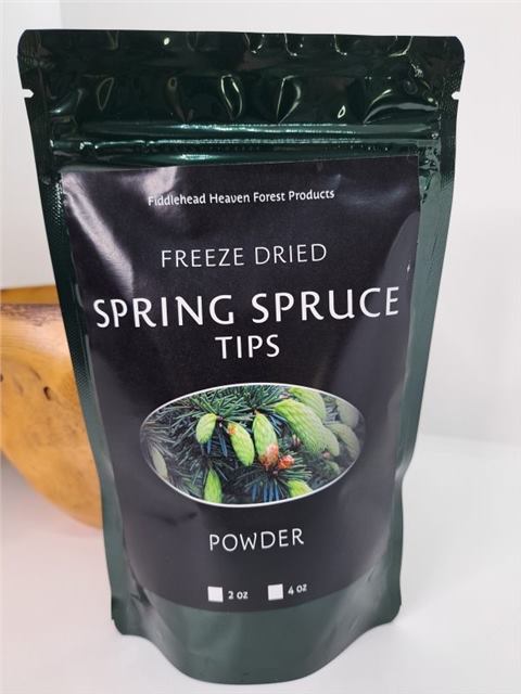 Where to Buy Spring Spruce Tip Powder: Tips From the Wild