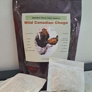 Chaga Mushroom ThermO Tea Bags