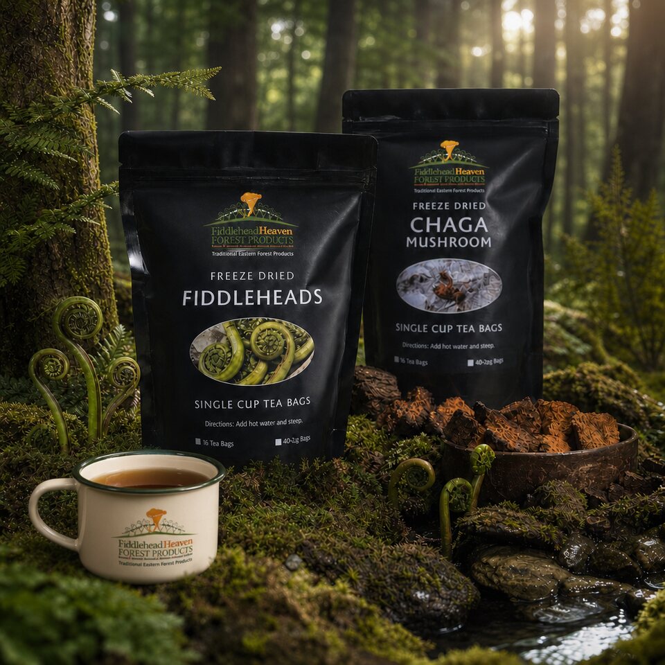 Forest products with chaga and fiddleheads
