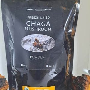 Chaga Mushroom Powder - Freeze - Dried