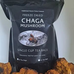 Freeze-Dried Chaga Single Cup Tea Bags 30 bags