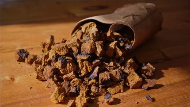 Why Freeze-Dried Chaga Works Well in the Pantry