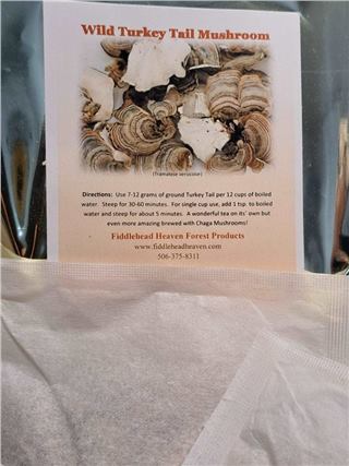 Turkey Tail Mushroom 12g Tea Bags (20x)