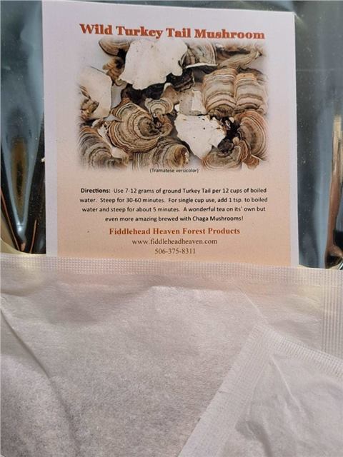 Prepared turkey tail tea bags for home use