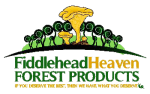 Fiddlehead Heaven Forest Products