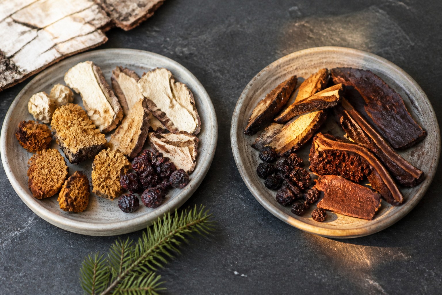 Freeze Dried vs Sun Dried Which Is Better for Your Health