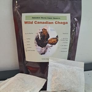 Chaga Mushroom ThermO Tea Bags